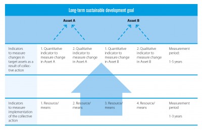 Choosing_indicators_to_measure_assets_and_collective_action_implementation